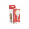 Ampoule LED A60, culot E27, 11W cons. (75W eq.), lumière blanc neutre