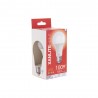 Ampoule LED A60, culot E27, 14,2W cons. (100W eq.), lumière blanc froid