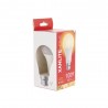 Ampoule LED A60, culot B22, 14,2W cons. (100W eq.), lumière blanc chaud