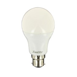 Ampoule LED A60, culot B22,...