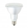 Ampoule LED PAR30 - culot E27 - classique