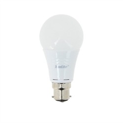 Ampoule LED A60, culot B22,...