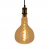 Ampoule LED Giant Fiole / Vintage, culot E27, 4W cons. (30W eq.), 323 lumens, lumière blanc chaud