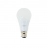 Lot de 10 Ampoules LED A60, culot B22, 10W cons. (60W eq.), lumière Blanc Chaud