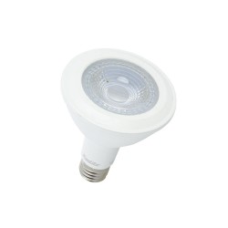 Ampoule LED PAR30 - culot E27 - classique