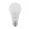 Ampoule LED A60, culot E27, 9,4W cons. (60W eq.), lumière blanc chaud