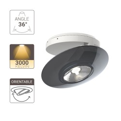 Spot en saillie LED - Orientable - Bague Grise - cons. 4,5W (eq. 40W) - 300 lumens - Blanc chaud