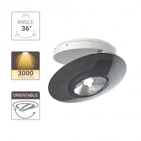 Spot en saillie LED - Orientable - Bague Grise - cons. 4,5W (eq. 40W) - 300 lumens - Blanc chaud