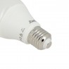 Ampoule LED A60, culot E27, 11W cons. (75W eq.), lumière blanc chaud