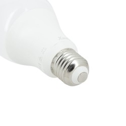 Ampoule LED A60, culot E27, 14,2W cons. (100W eq.), lumière blanc chaud