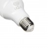 Ampoule LED EMERGEN-C - culot E27 - batterie incluse