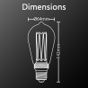 Ampoule LED déco Hologramme Edison au verre fumé, culot E27, 4W cons., 100 lumens, lumière blanc chaud